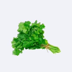 Cilantro Manojo